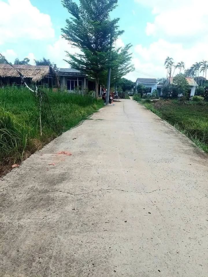 Đất nền Tân Trạch, Cần Đước 135m² - Xây dựng tự do, giá 850 triệu!