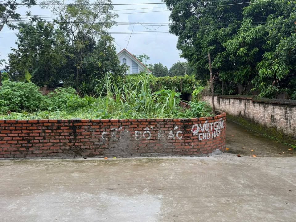 Đất nền Thụy Vân, Việt Trì 78m² - Đường to ô tô, tiềm năng sinh lời!