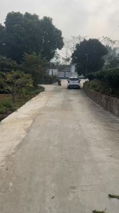 Đất nền Lâm Thao, Phú Thọ 3000m² - Đường to ô tô