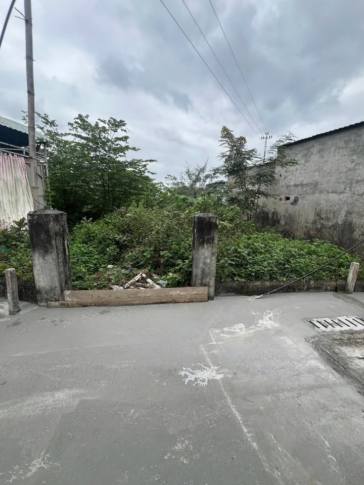 Bán Đất 115m² Cẩm Lệ, Đà Nẵng - Sổ Đỏ Riêng, Chính Chủ