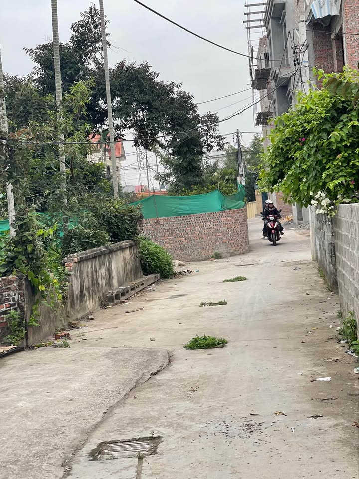 Đất nền Đào Yêu, An Dương 69m² chỉ 1.3 tỷ - Sổ đỏ chính chủ!