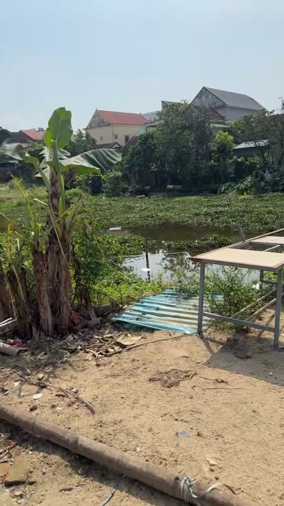 Đất đấu giá Bà Hà Nam Đàn 215m² giá 3.1 tỷ - Sổ đỏ chính chủ!