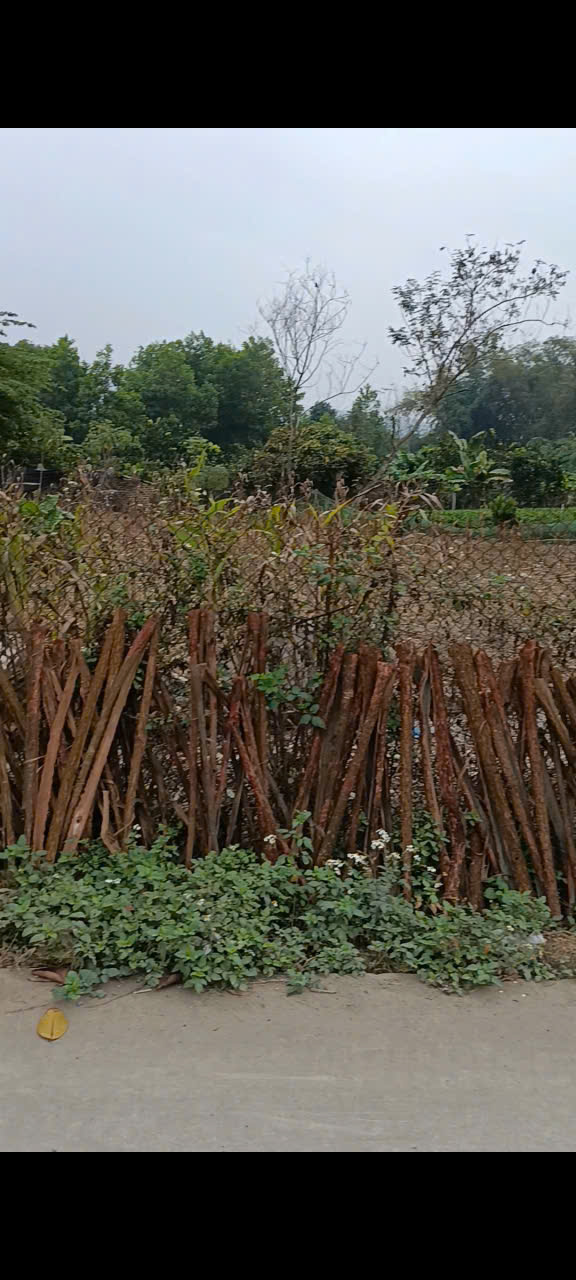 Đất nền Xã Yên Lãng, Đại Từ 408m² - Đường to ô tô, xe công thoải mái!