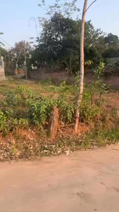 Bán đất Mỹ Thái Lạng Giang 266m² - Đường rộng ô tô - Gần KCN