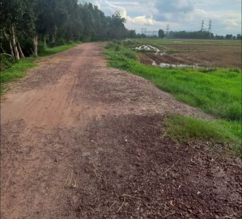 Đất nền Củ Chi 1000m² giá 1.65 tỷ - Xây dựng tự do!