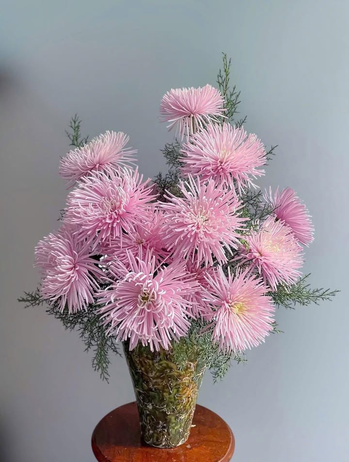 Bán Đất Đường Trường Đông, Tây Ninh - 300m² Giá 1.05 Tỷ, Dân Cư Đông Đúc