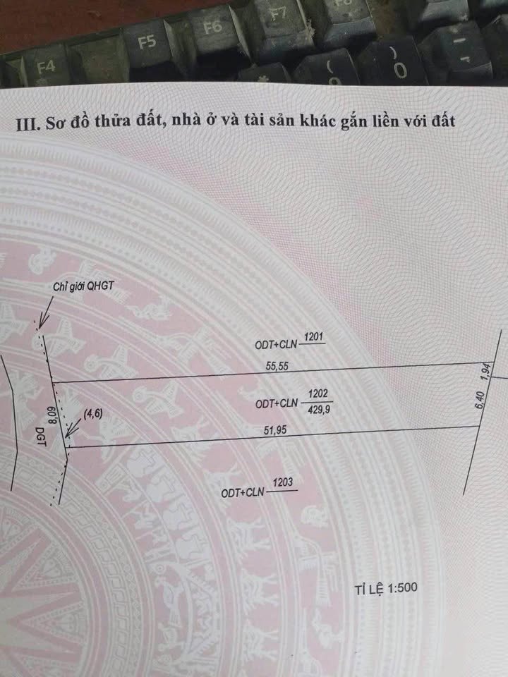 Đất Vàng Bố Trạch 440m² Sổ Đỏ - Giá Chỉ Từ 3 Tỷ