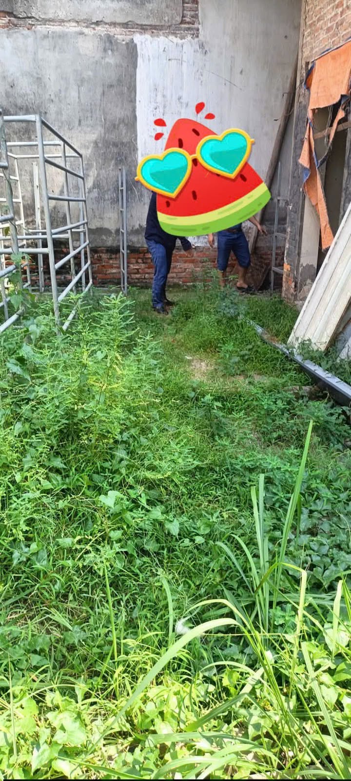 Đất nền Giang Cao, Bát Tràng 228m² - Sổ đỏ chính chủ, tiềm năng tăng giá!