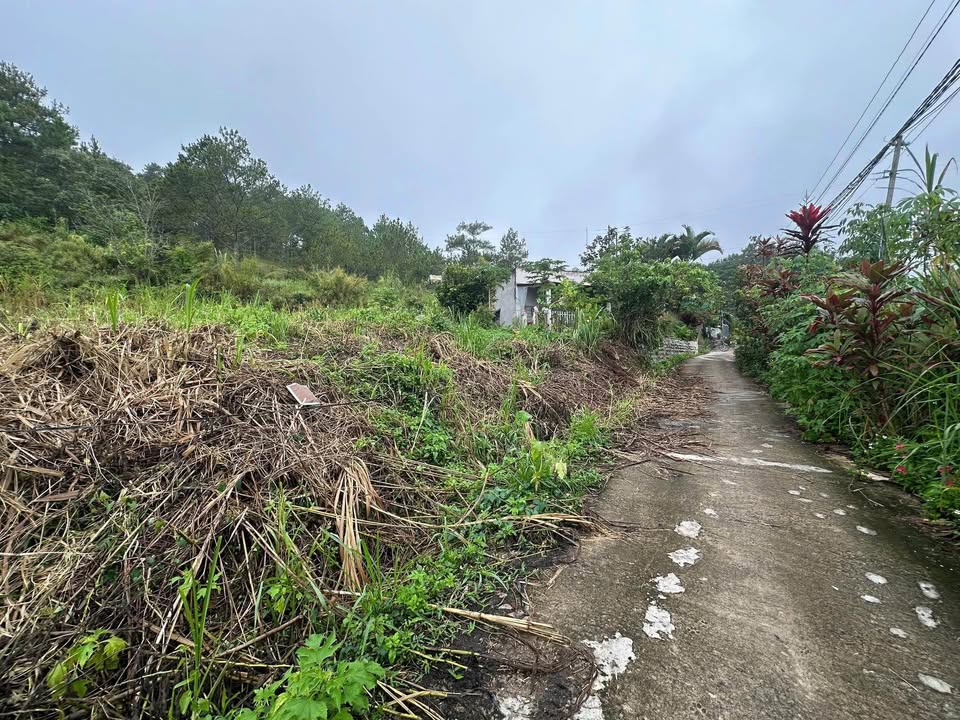 Đất nền Xã Lạc Lâm Đơn Dương 117m² 650 triệu - Sổ đỏ chính chủ