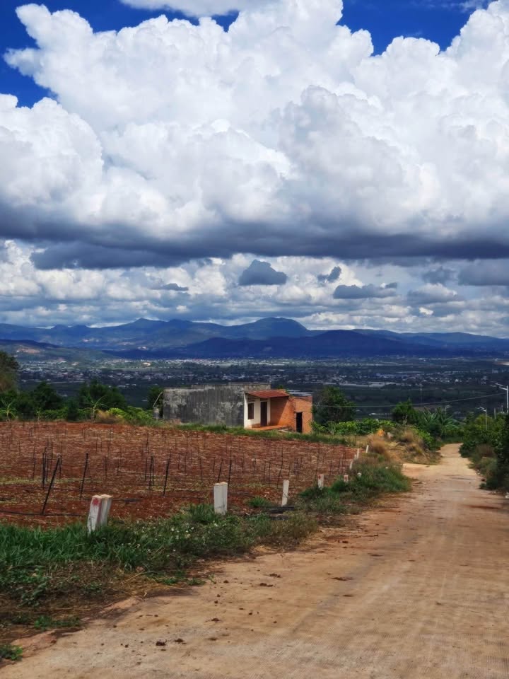 Đất Nền Lâm Hà 140m² - 350 Triệu Có Ngay View Đẹp Mộng Mơ