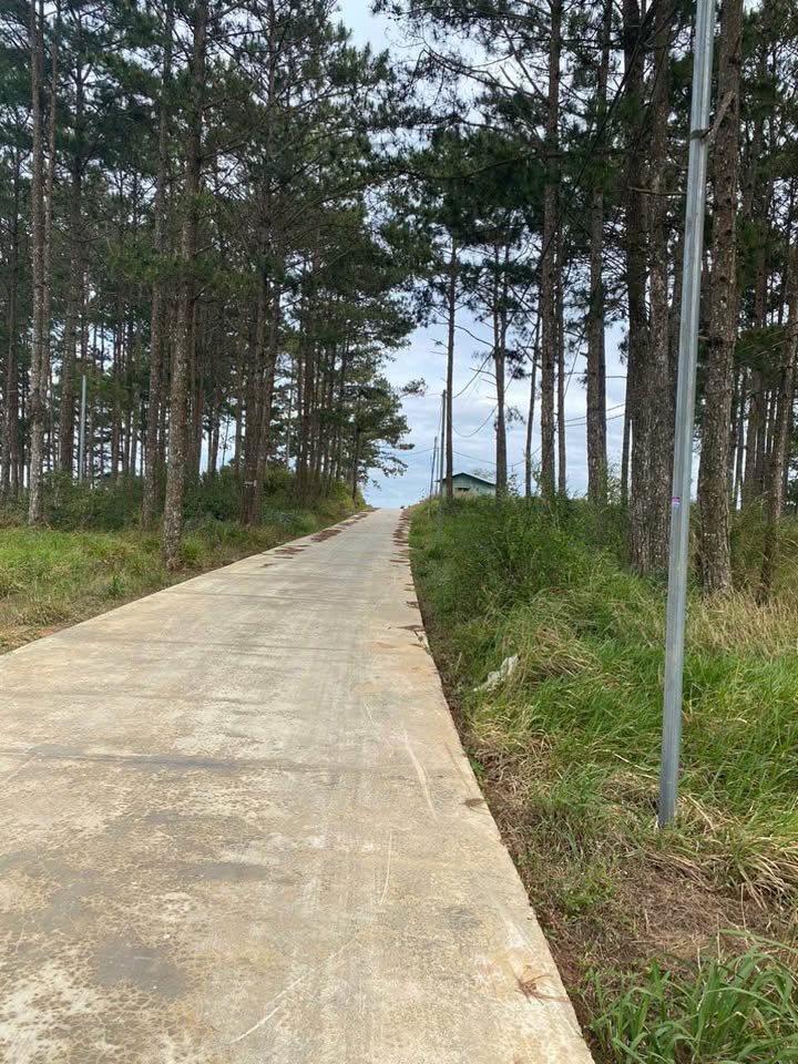 Đất Nền 1000m² Xuân Trường, Đà Lạt - View Hồ & Rừng Thông, Giá 2.1 Tỷ