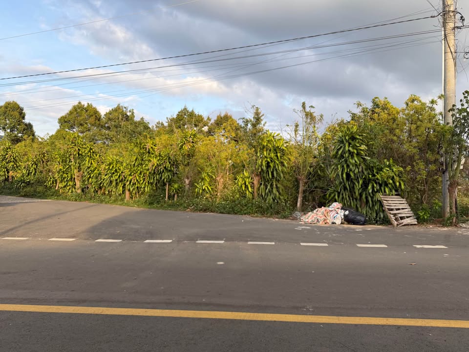 Đất nền Bảo Lộc 455m² 3 tỷ - Đường to ô tô, xây dựng tự do!