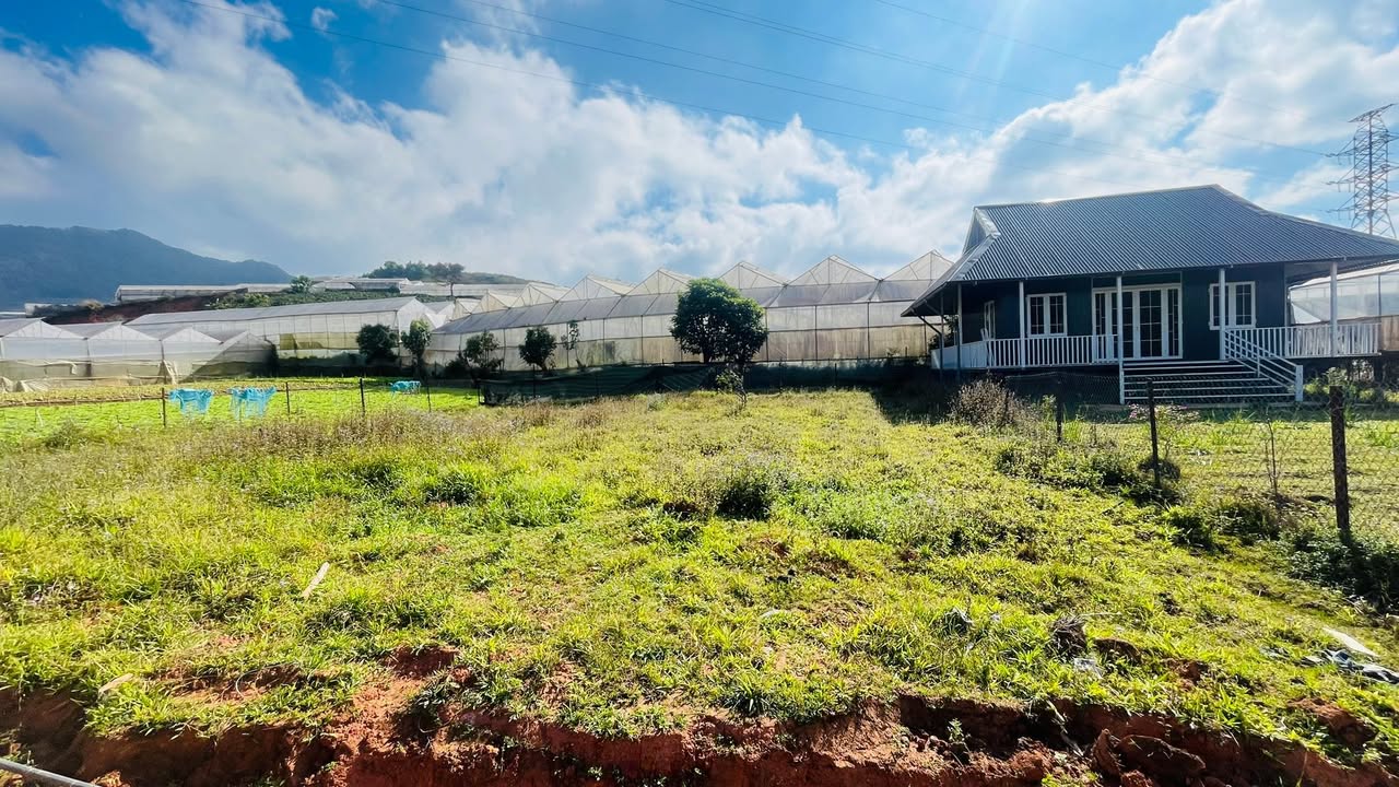 Đất nền Lạc Dương 111m² 1.5 tỷ - Tiềm năng tăng giá vượt trội!