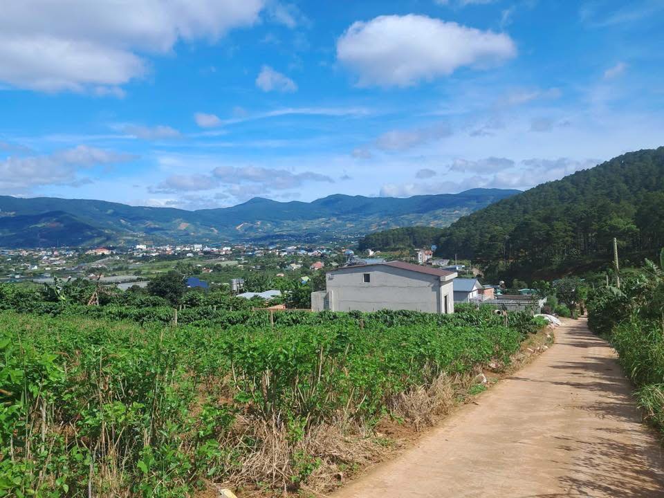 Đất nghỉ dưỡng Tà Nung Đà Lạt 936m² - Mặt tiền 48m, Sổ hồng sẵn sàng