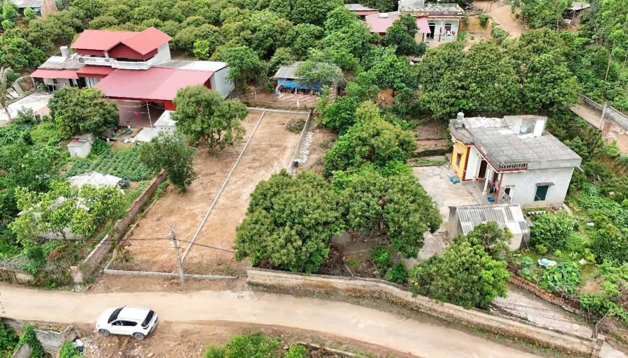 Đất nền Lục Nam 180m² giá 580 triệu - Sổ đỏ chính chủ sẵn sàng!