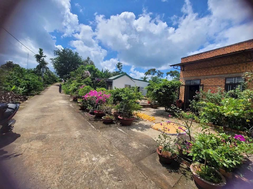 Đất nền Krông A Na 150m² giá 300 triệu - Sổ đỏ chính chủ!