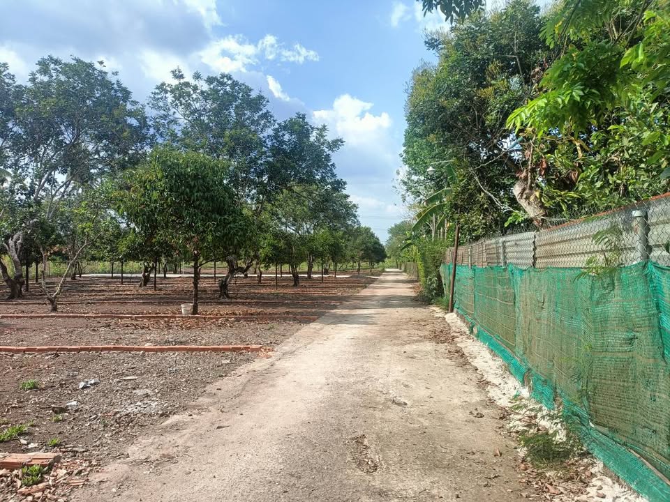 Đất nền Phường Bảo Vinh Long Khánh 145m² - Sổ đỏ chính chủ!