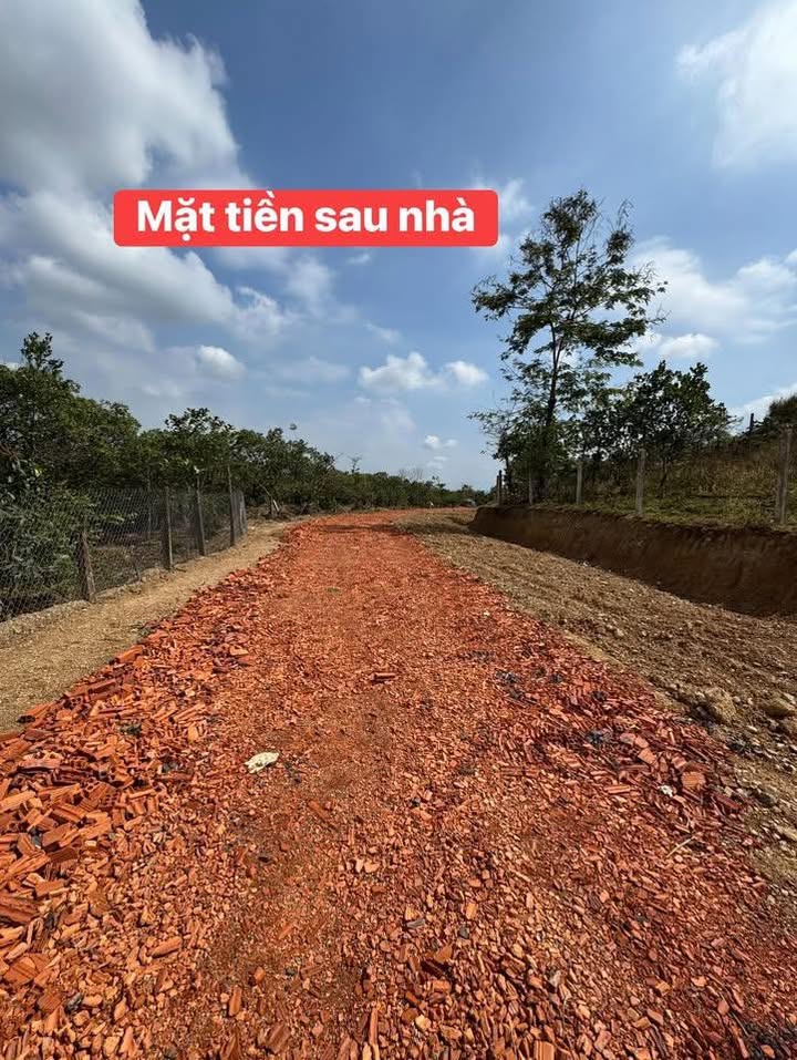 Nhà 2 Mặt Tiền Đinh Tiên Hoàng Cư Jút 750m² - Giá Tốt Hiếm Có!