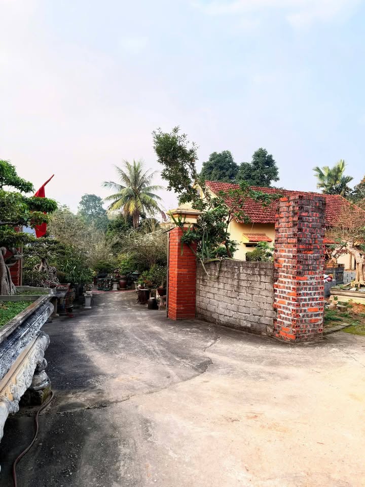 Đất nền Thị trấn Hùng Sơn 699m² - Xây dựng tự do, ô tô vào tận nơi!