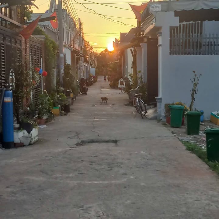 Nhà Cần Giuộc Long An 75m² - Sổ hồng sẵn, ô tô vào tận nhà!