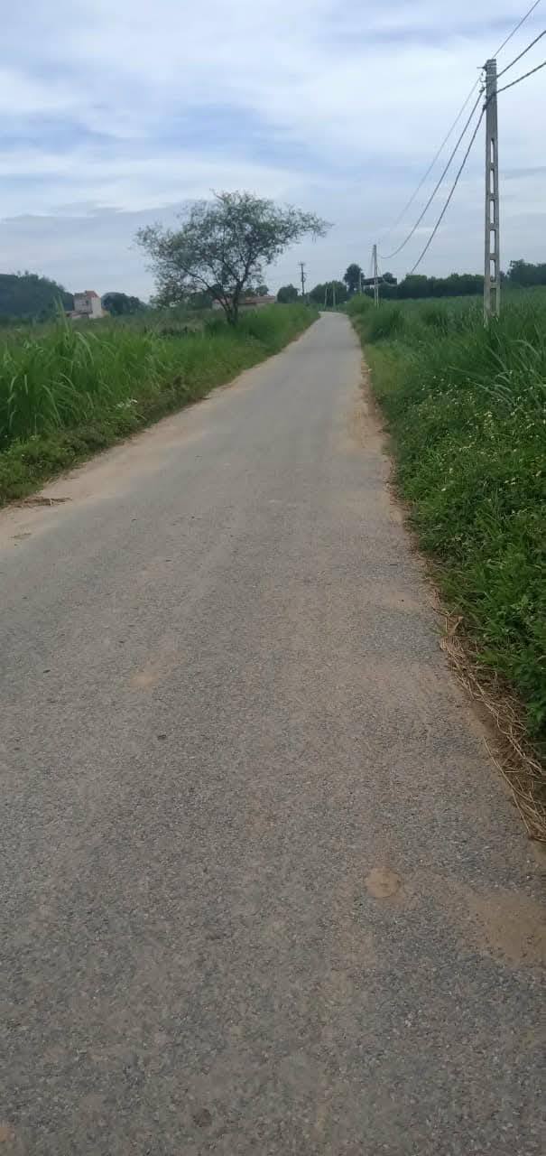 Bán Đất Liền Kề 180m² Cẩm Phú, Cẩm Thủy, Thanh Hóa - Sổ Đỏ Chính Chủ