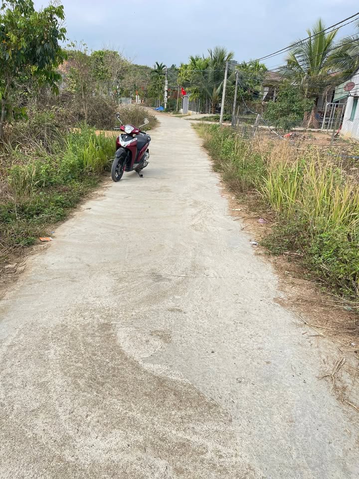 Đất nền Lâm Hà 339m² - Sổ đỏ chính chủ, xây dựng tự do!