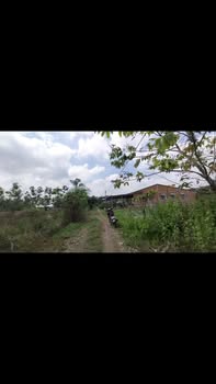 Đất vườn An Tịnh, Trảng Bàng 3311m² – Đường to ô tô, tiềm năng lớn!