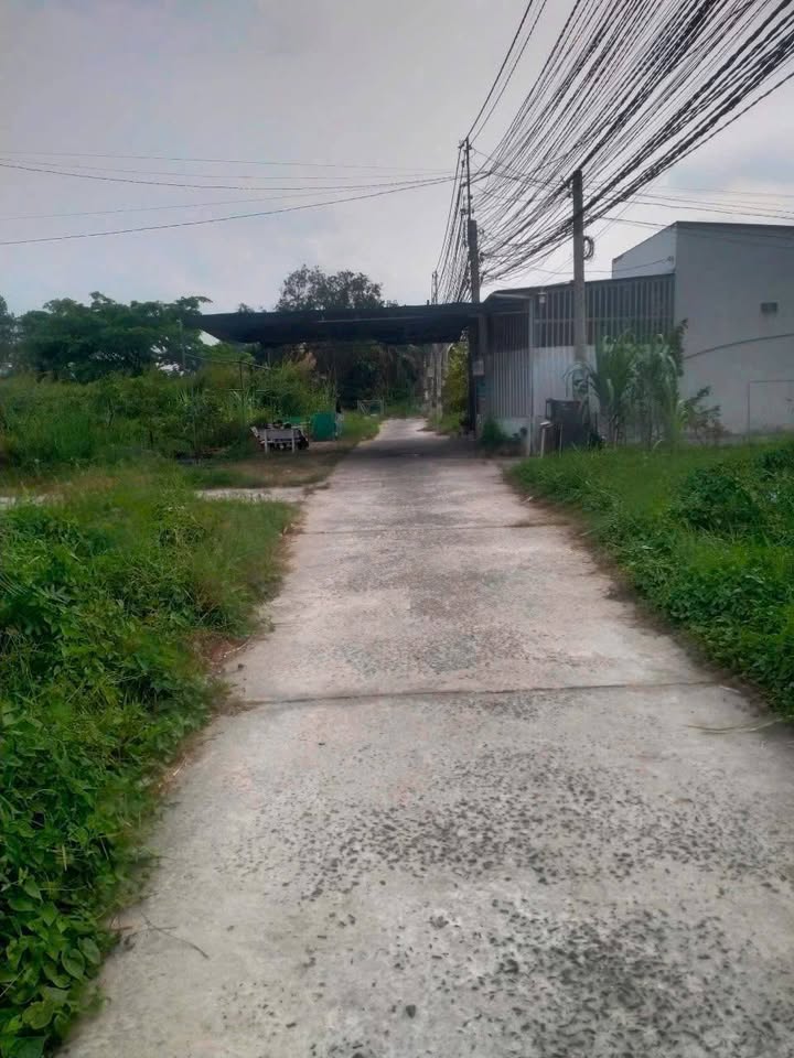 Bán Đất Hữu Định Bến Tre 90m² - Sổ Lúa, Giá 325 Triệu