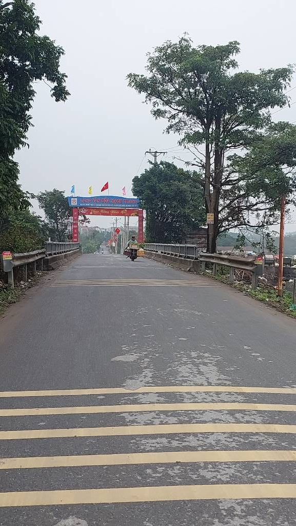 Đất nền Cổ Loa Đông Anh 118.5m² - Sổ đỏ chính chủ, đường to ô tô