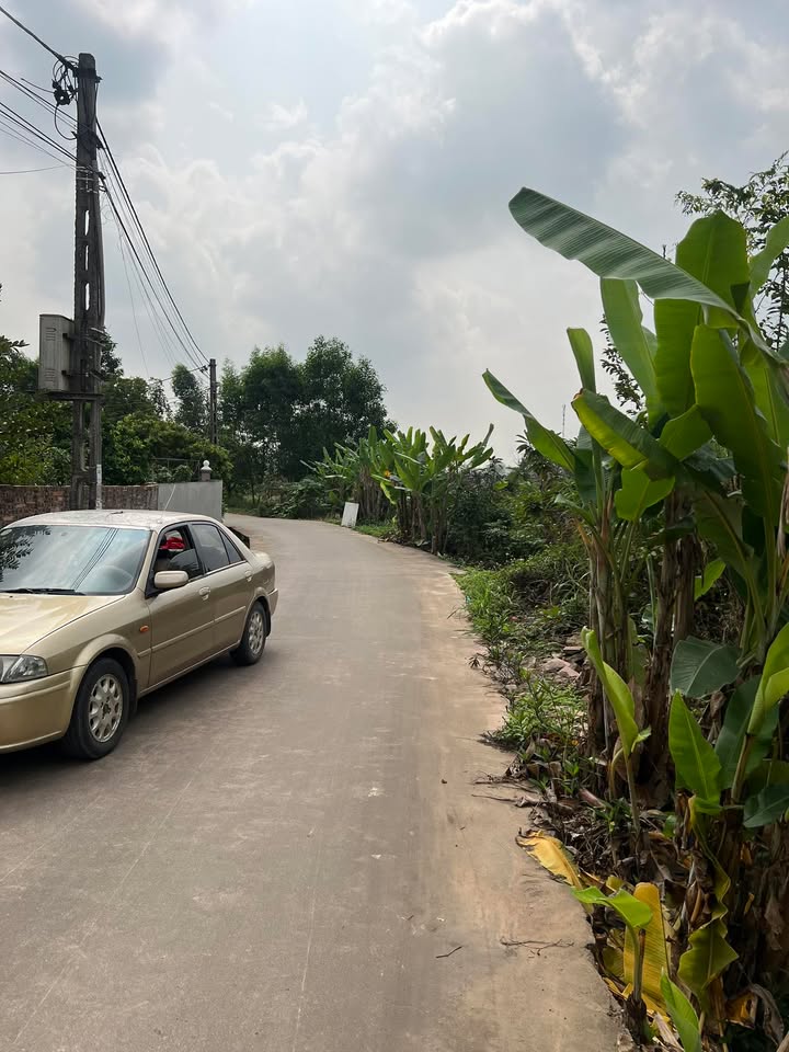 Đất nền 300m² trục chính KCN Tân Yên, Bắc Giang - Đầu tư sinh lời