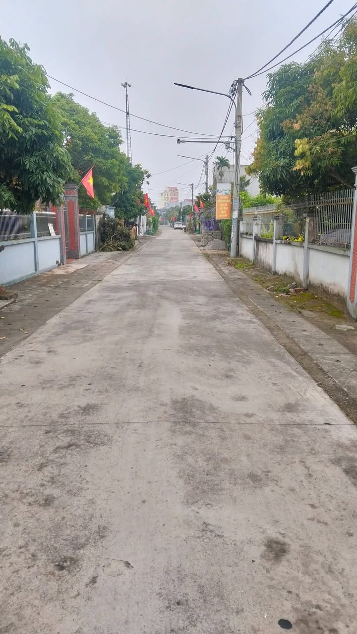 Đất nền Tranh Xuyên, Ninh Giang 100m² - Sổ đỏ chính chủ, ô tô tránh nhau!