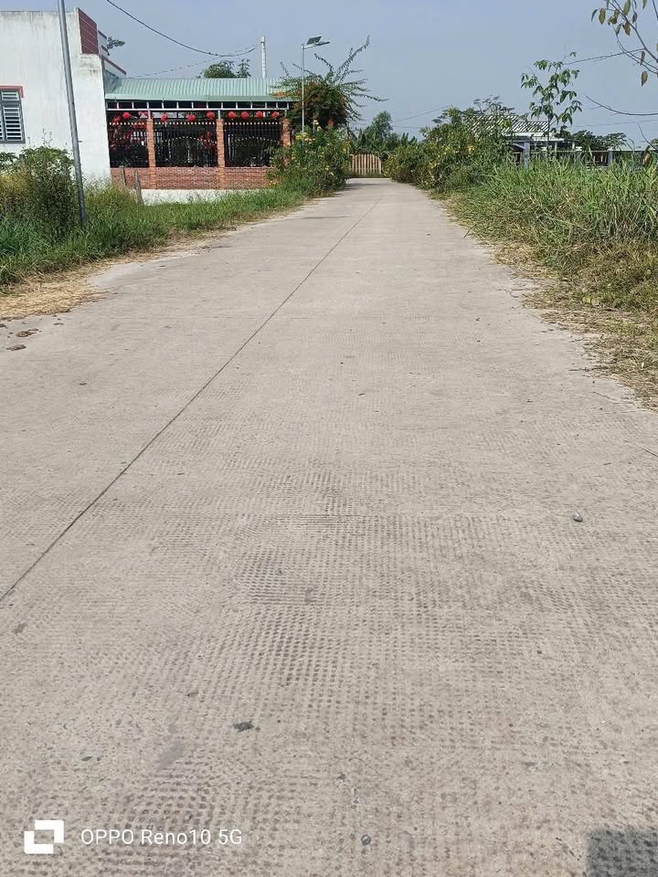 Đất nền Mỹ Hạnh, Châu Thành 1184m² - Sổ hồng riêng, tiềm năng lớn!