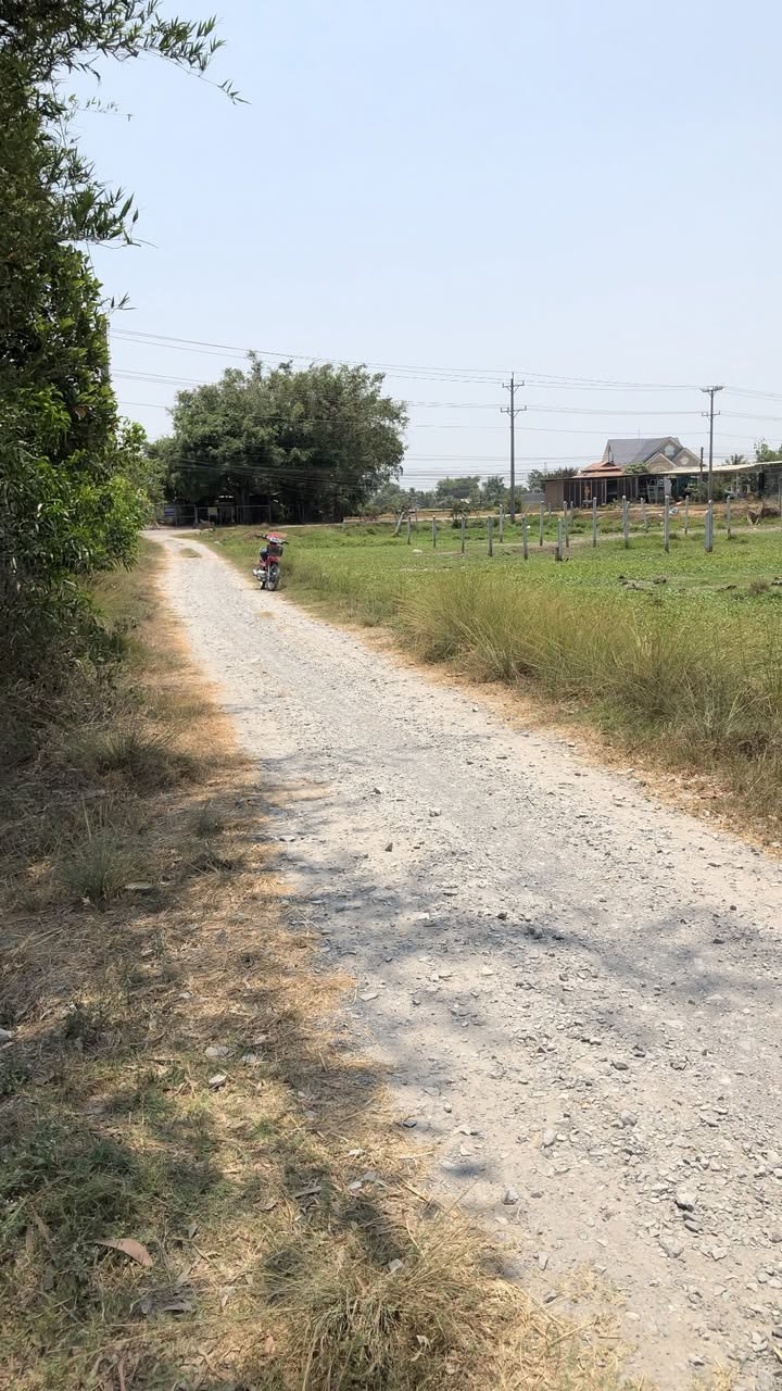 Đất nền Xã Hiệp Hòa Tây Ninh 1000m² - Đất thổ cư 100%!