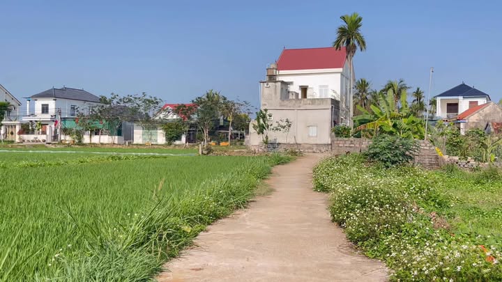 Đất nền Diễn Hải, Diễn Châu 217m² giá chỉ 1 tỷ - Tiềm năng tăng giá vượt trội!