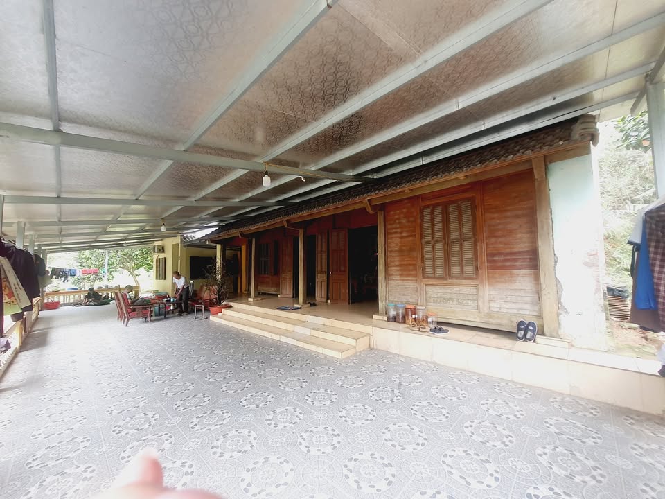 Trang trại nhà vườn Yên Bình 1.5ha - Nghỉ dưỡng lý tưởng!