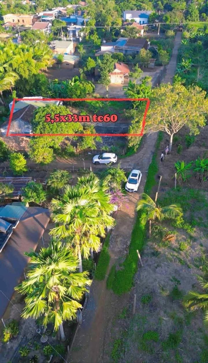 Đất nền Tam Giang 181m² - Sổ đỏ chính chủ, giá 370 triệu!