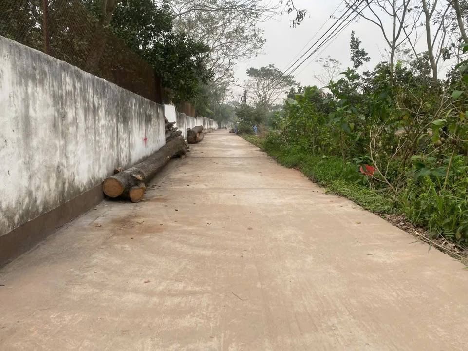 Đất nền Thụ Ích, Liên Châu, Thanh Oai 128m² - Sổ đỏ chính chủ!