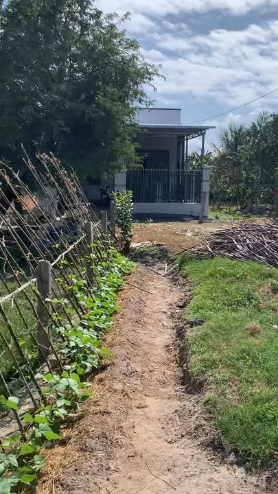 Đất nền Tân Phong Ninh Hoà 240m² - Sổ đỏ chính chủ, full thổ!