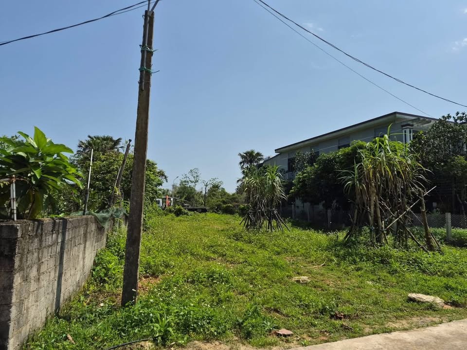 Đất nền Hà Tĩnh 129m² - Đất thổ cư 100%, đường ô tô!