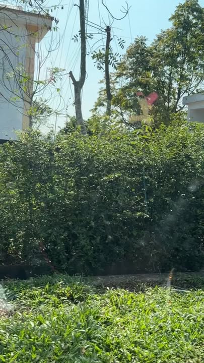 Đất Nền Xã Kỳ Phong 210m² - Đất Thổ Cư 100%, Pháp Lý Rõ Ràng