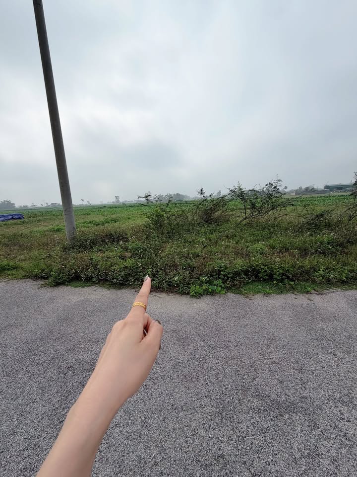 Đất nền Nghi Trường 190m² Nghệ An - Tiềm năng tăng giá vượt trội!