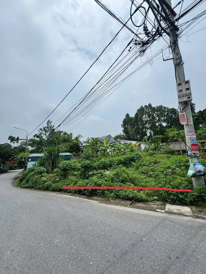 Đất nền 79m² Phường Minh Phương, Việt Trì - Sổ đỏ sẵn sàng giao dịch