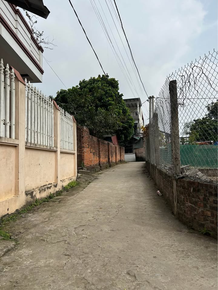 Đất Trạch Mỹ Lộc gần QL32 44m² 1.5 tỷ - Đường to ô tô