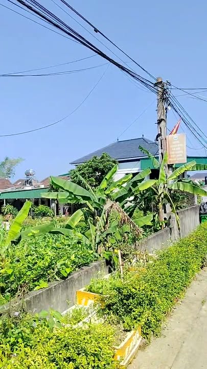 Đất nền Kỳ Hoa, Kỳ Anh, Hà Tĩnh 194m² - Tiềm năng tăng giá vượt trội!