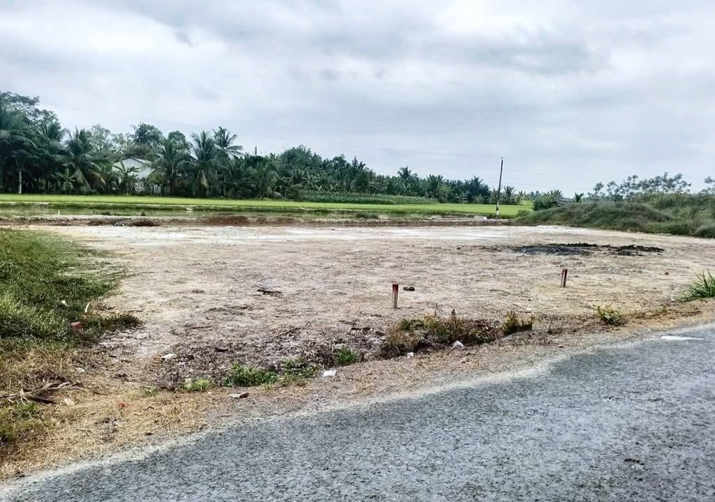 Đất nền Phú Lộc, Tam Bình 325 triệu – Tiềm năng tăng giá