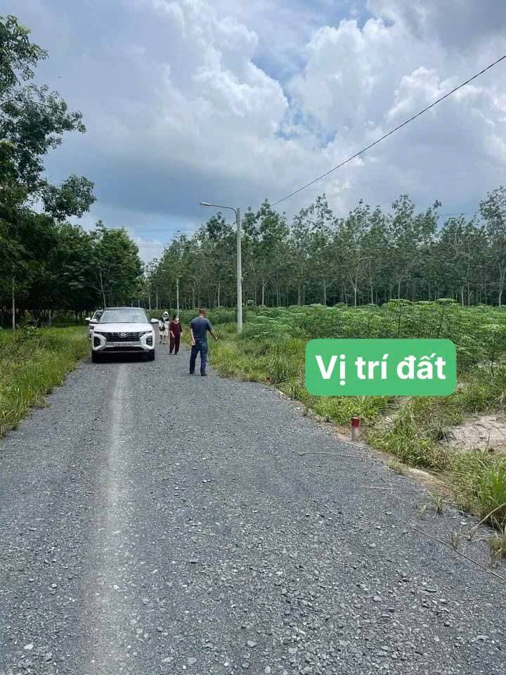 Bán đất 1343.5m² Chơn Thành, Bình Phước - Sổ đỏ sẵn, giá đầu tư