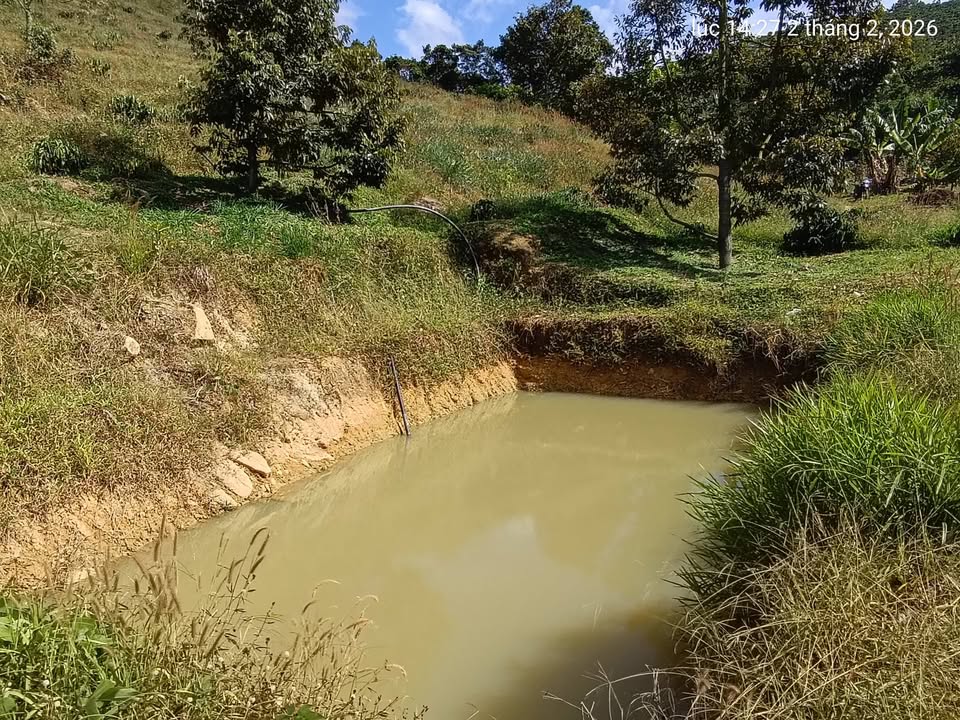 Đất Vườn 4000m² Bảo Lâm - Sẵn Ao Tưới, Thế Đất Đẹp