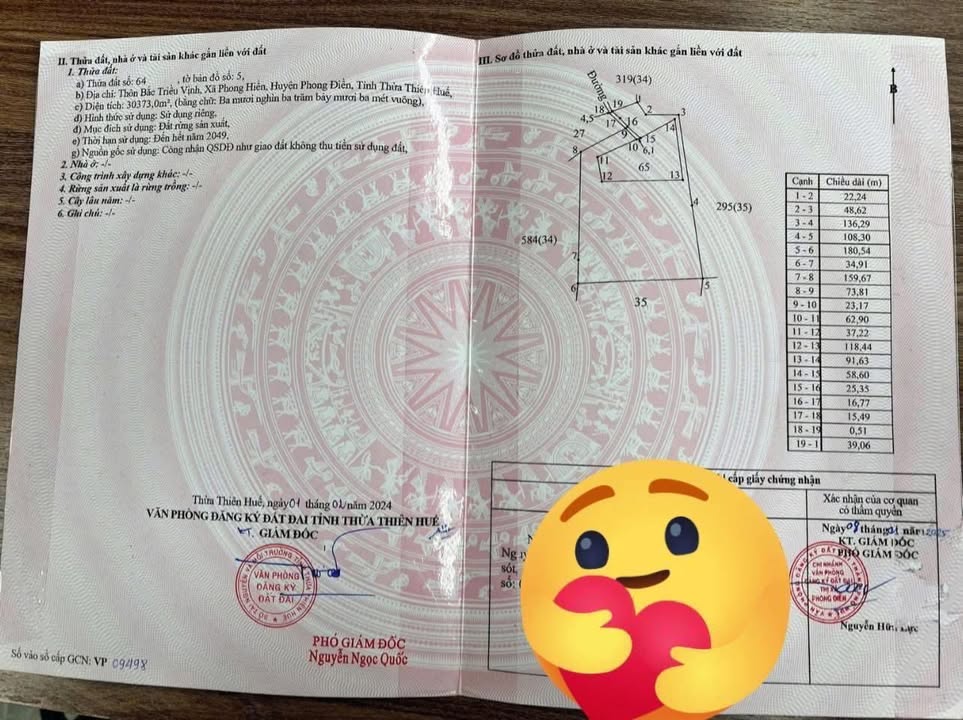 Bán đất rừng Phong Thái Phong Điền 30.000m² giá tốt - Đầu tư bền vững