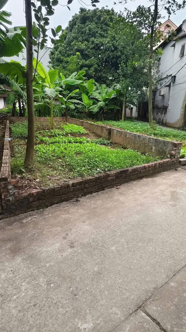 Bán Đất Vạn Phúc Hà Đông 40m² - Ngõ Ô Tô Thông, Sổ Đẹp