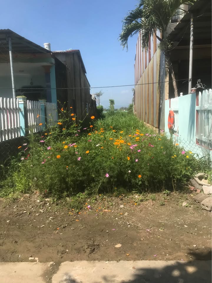 Đất Nền An Thanh, Điện Bàn 102m² - Sổ Hồng Chính Chủ, Giá Đầu Tư Hấp Dẫn